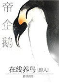 帝企鹅在线养bird